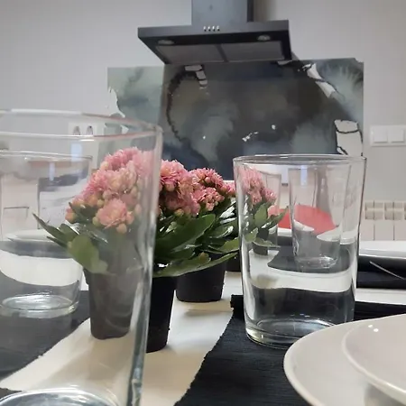 Apartamento Pelaires Estella Buitenkant foto